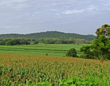 Food security and FCH JU call results announced